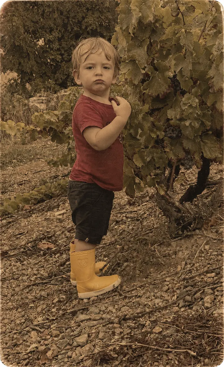 Loïc Leguille, vigneron